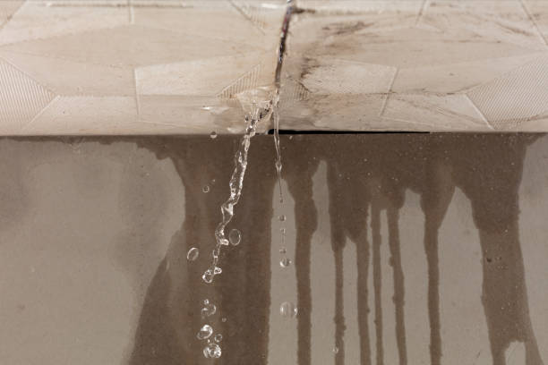 Professional Water Damage Restoration technician working in Schwertner, TX